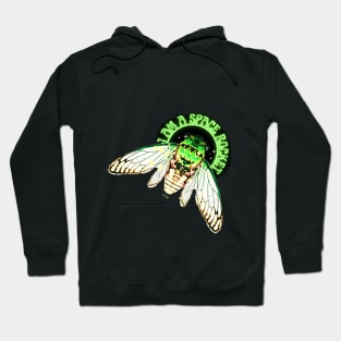 I AM A SPACE ROCKET! Emerald-green dragonflies decorations cicade fly glow bugs Hoodie